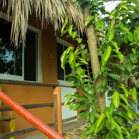 Posada La Huerta Масунте Экстерьер фото